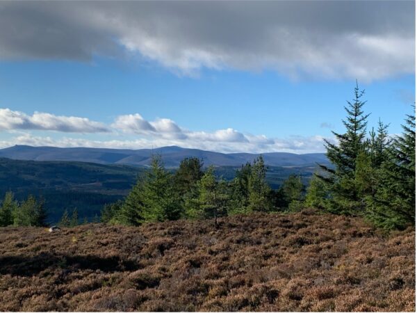 The Hill of Fare – A View from Banchory